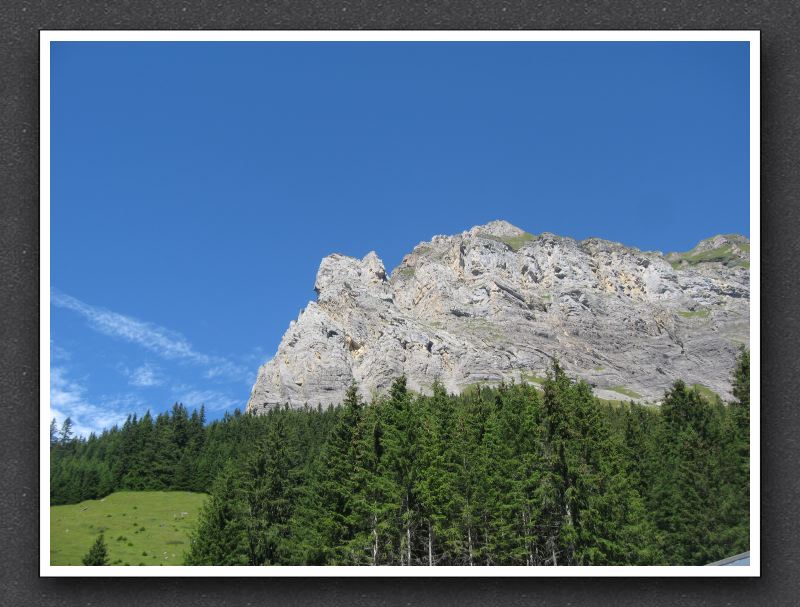 1 Unser Ziel, die Bire