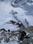 1 Die letzten Meter am grossen Aletschhorn