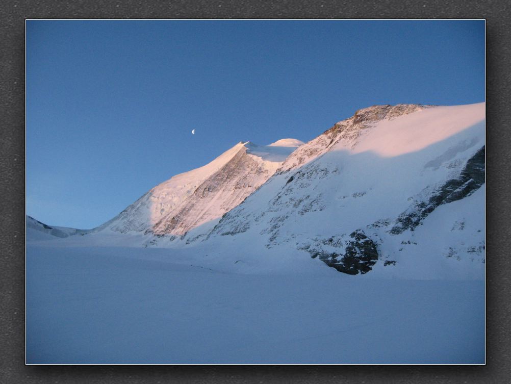 2 Bishorn